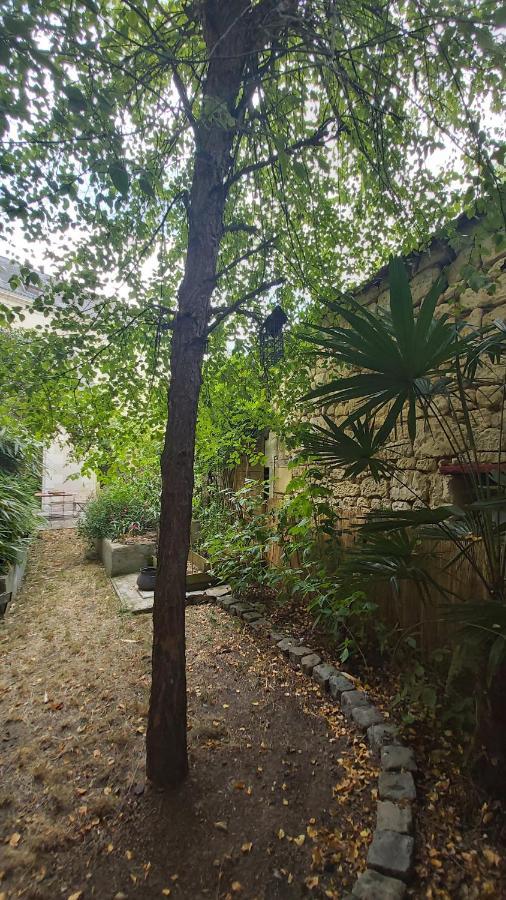 La Maison De Louise Chinon #Chateaux #Vignobles Exteriör bild