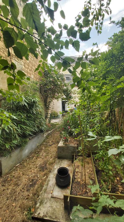 La Maison De Louise Chinon #Chateaux #Vignobles Exteriör bild